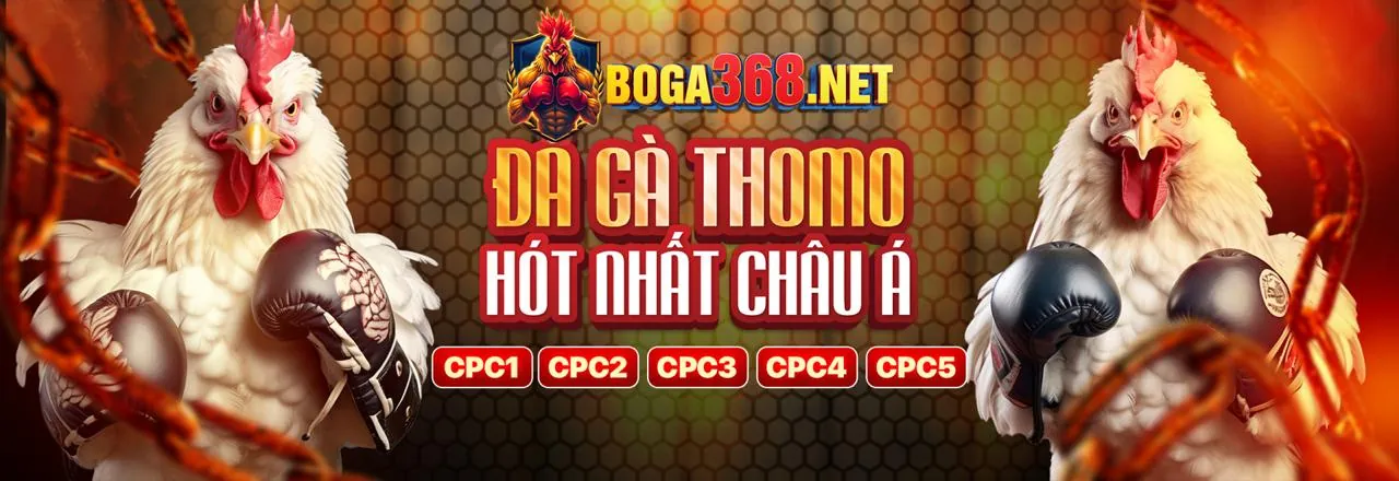 Đánh giá Suncity888 com - Nền tảng cá cược uy tín