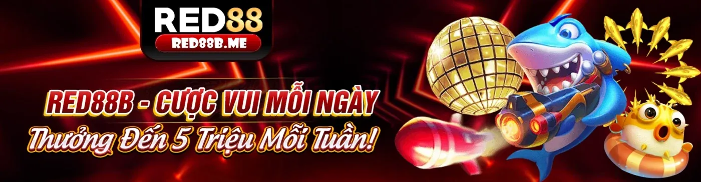 Chính sách bảo mật của Suncity888 com - Bảo vệ quyền riêng tư người dùng